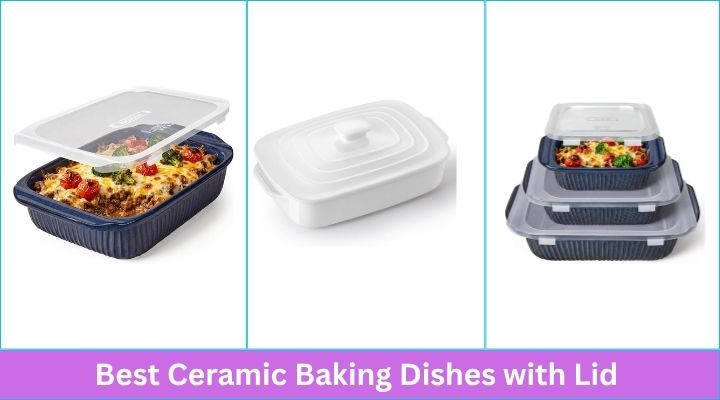 Best Ceramic Baking Dishes with Lid
