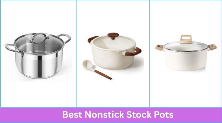 Best Nonstick Stock Pots
