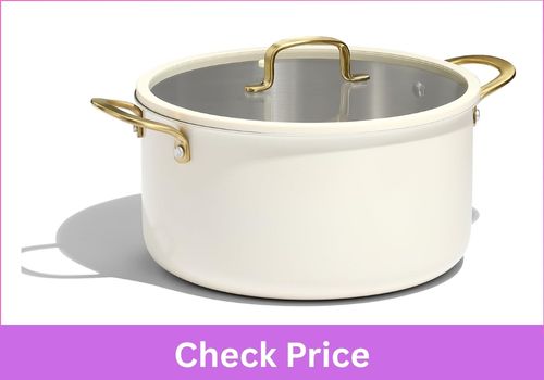 CAROTE Stainless Steel Induction Compatible Stockpot